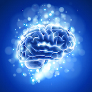 blue brain
