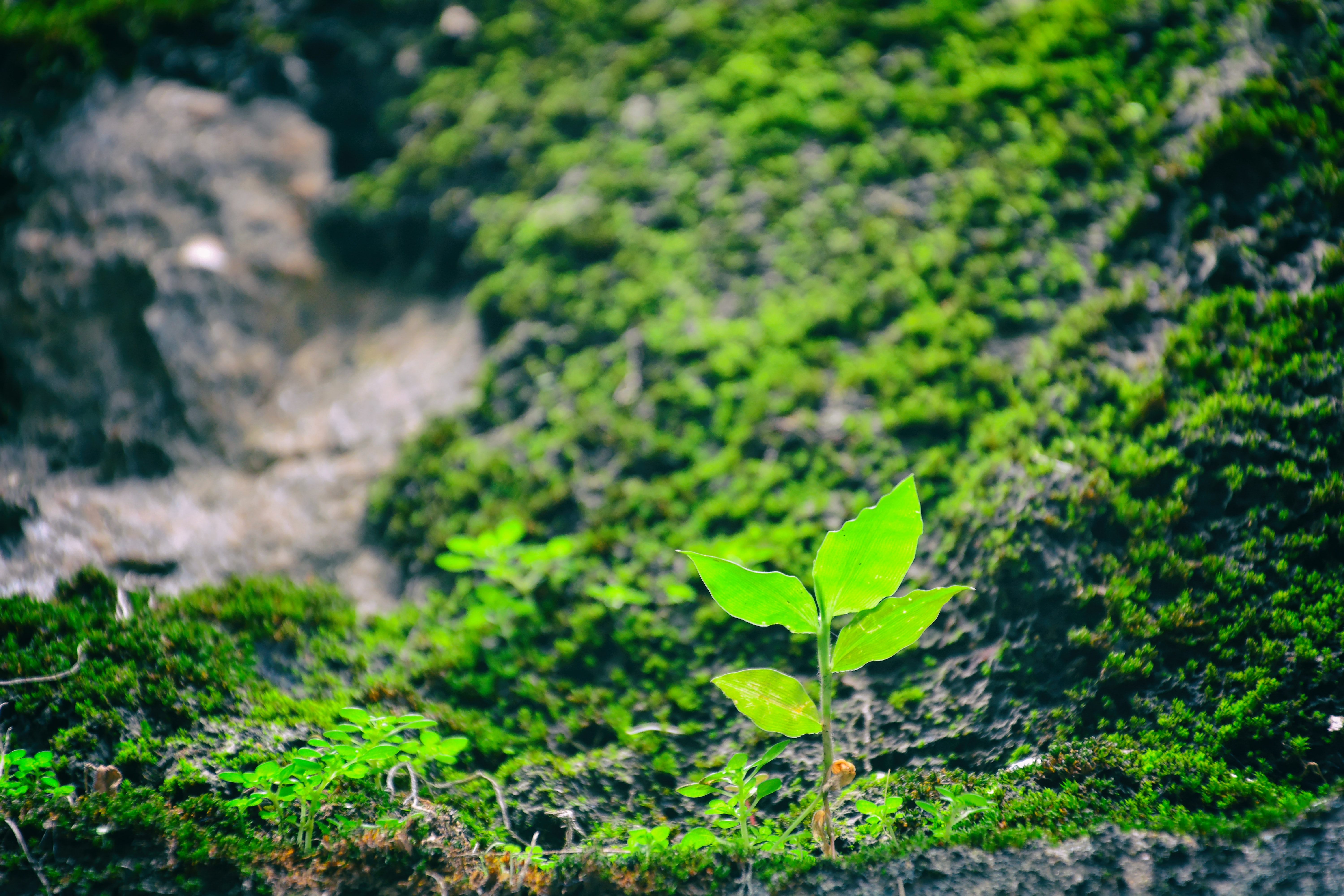 bruce-hong-yrd-aknqasw-unsplash